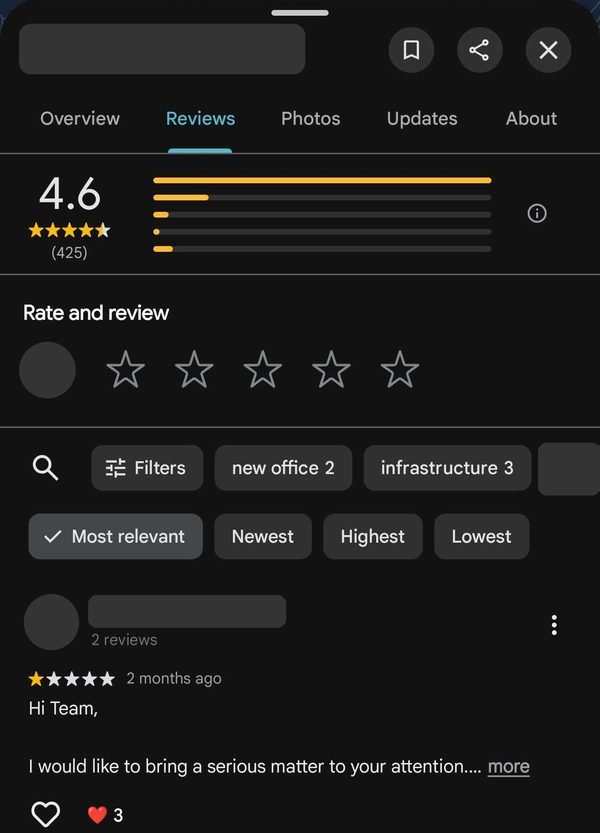 A Google reviews tab showing a 4.6 rating from 425 reviews, business and reviewer names hidden